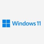 Windows 11