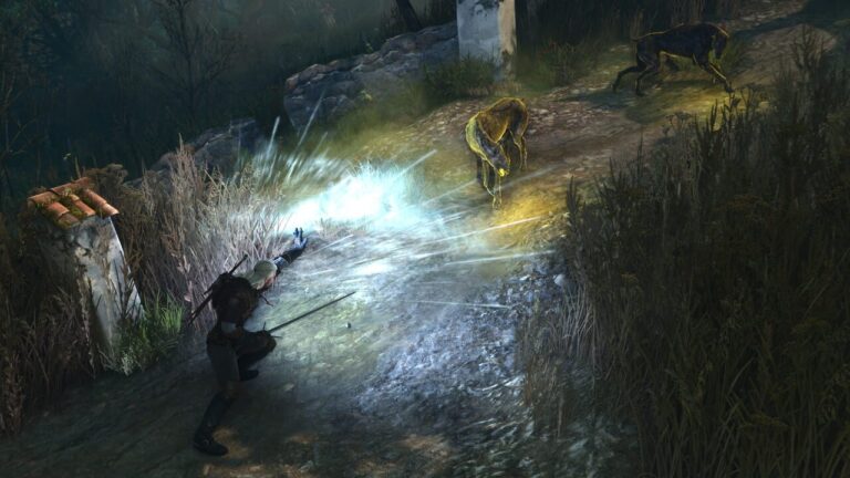 Geralt dans The Witcher 3 Remastered