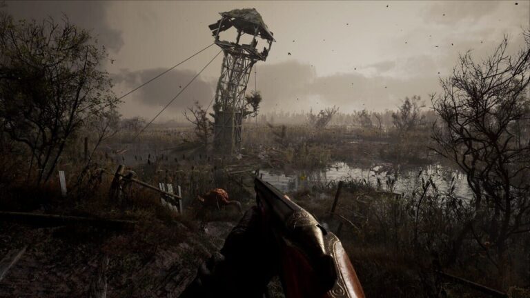 Un personnage de STALKER 2 avance dans la Zone au milieu d’un champ de coquelicots